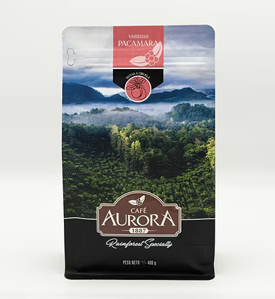 Café Pacamara Cobán notas florales ciruela chocolate blanco GT